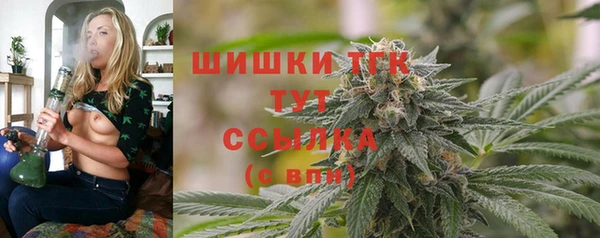 ECSTASY Пестово